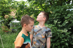 IMG_3968